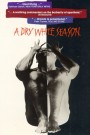 A Dry White Season